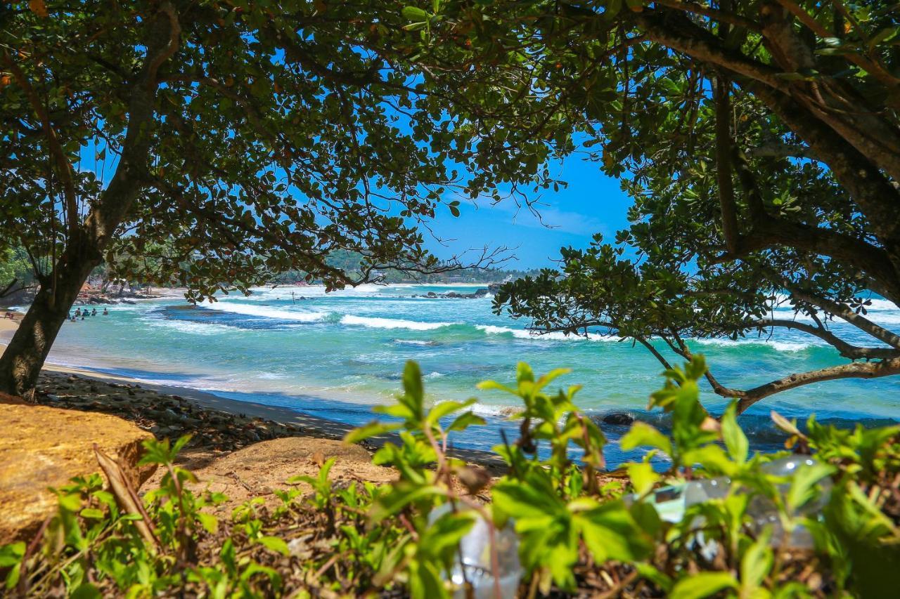 Sajana Ocean Hill Bed and Breakfast Mirissa Buitenkant foto